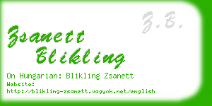 zsanett blikling business card